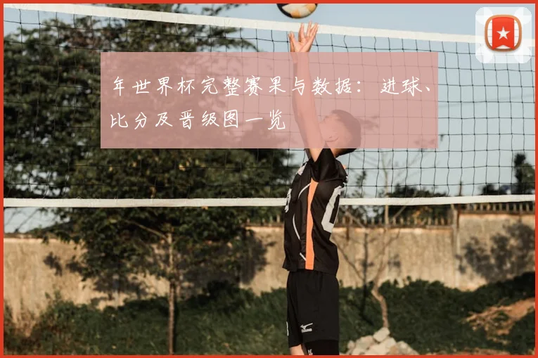 年世界杯完整赛果与数据:进球、比分及晋级图一览