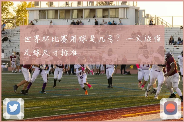 世界杯比赛用球是几号?一文读懂足球尺寸标准