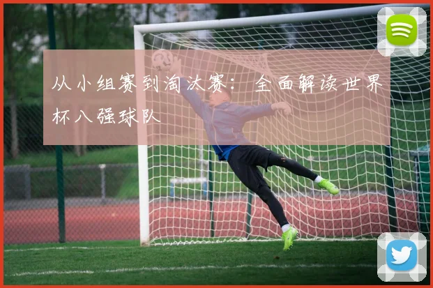 从小组赛到淘汰赛:全面解读世界杯八强球队