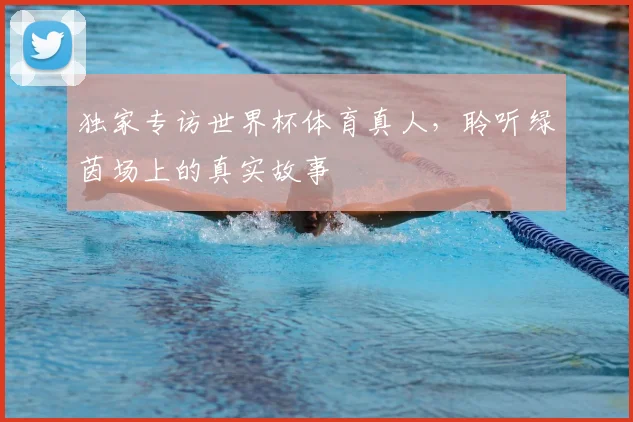 独家专访世界杯体育真人,聆听绿茵场上的真实故事