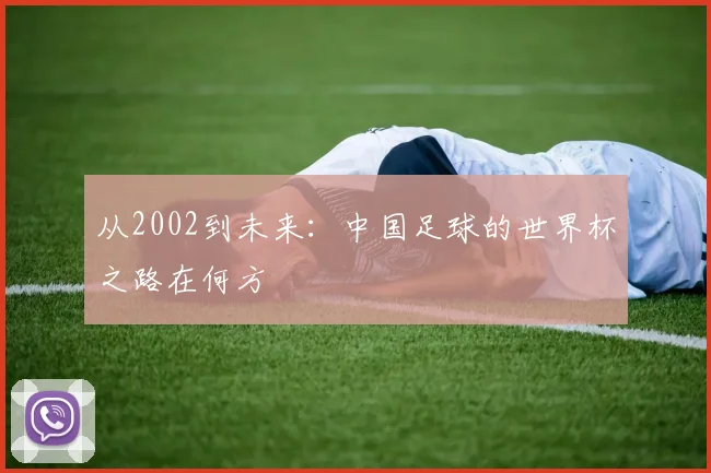 从2002到未来：中国足球的世界杯之路在何方