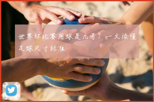 世界杯比赛用球是几号?一文读懂足球尺寸标准